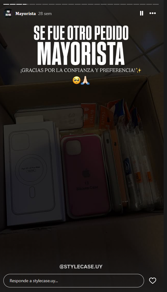 Pedido mayorista StyleCase