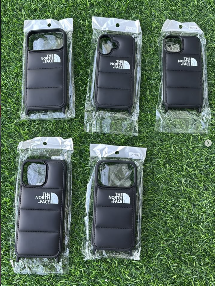 The North Face Puffer Case